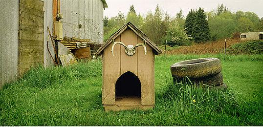 任天堂NSO高级会员世嘉MD游戏库 今日更新 3 款游戏